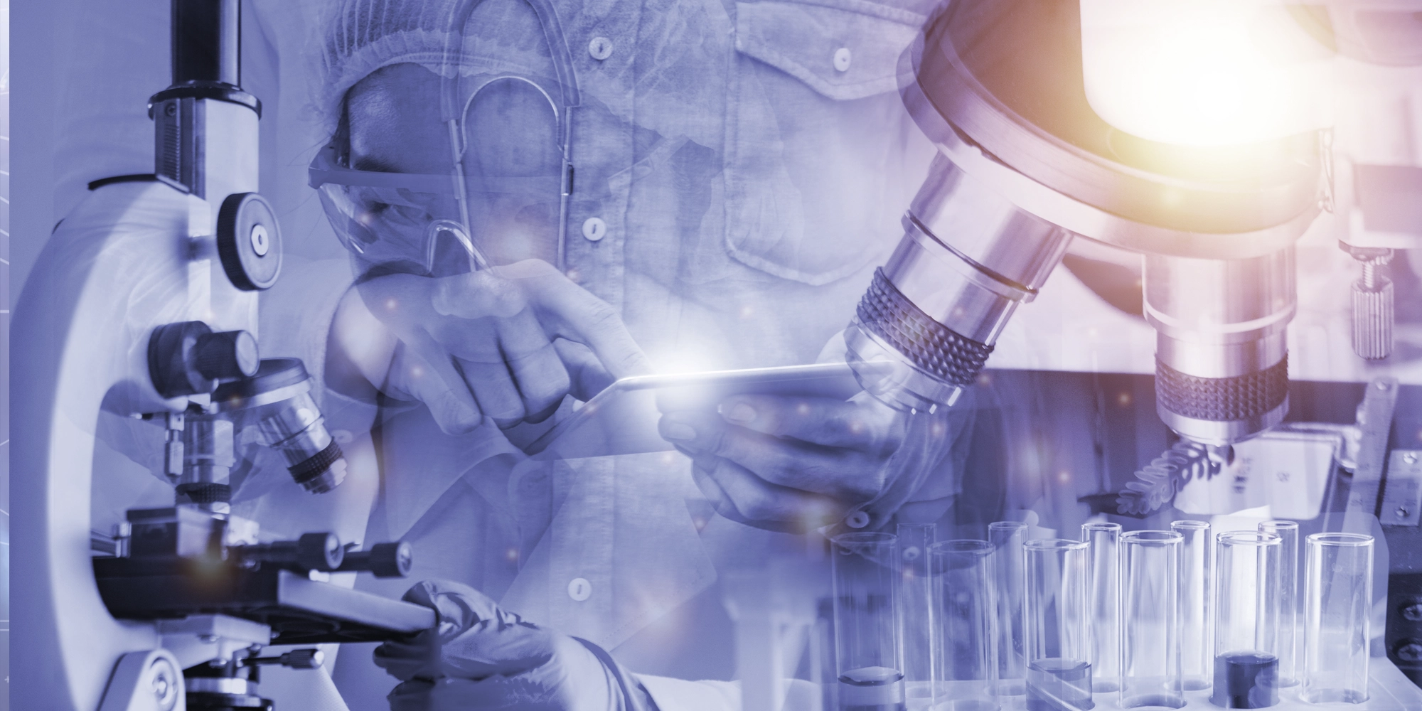 Bioequivalence Studies to Support Abbreviated New Drug Applications