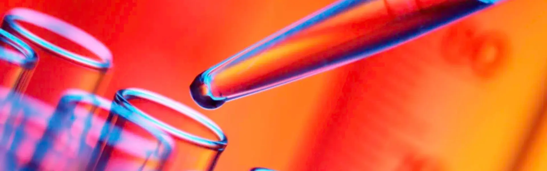 What are Steady State Concentration in Pharmacokinetics
