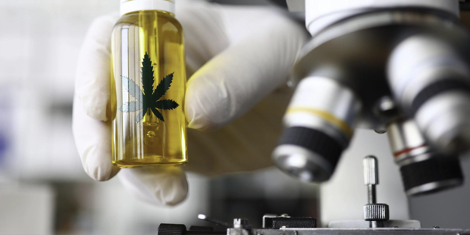 Cannabis and Cannabis-Derived Products for Therapeutic Development