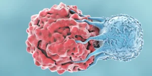 understanding-integrated-summary-of-immunogenicity