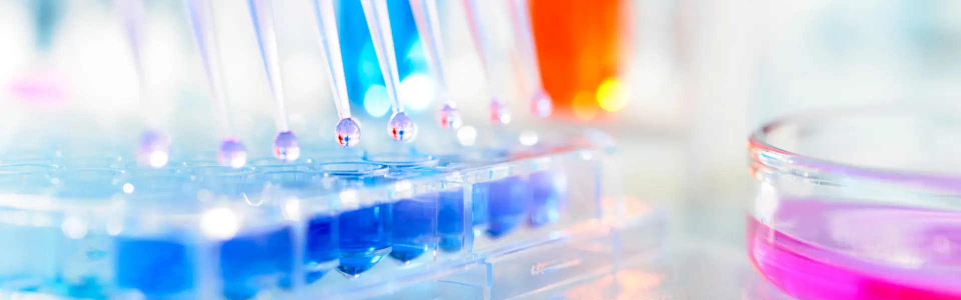 Monoclonal Antibody Dose Response Modeling