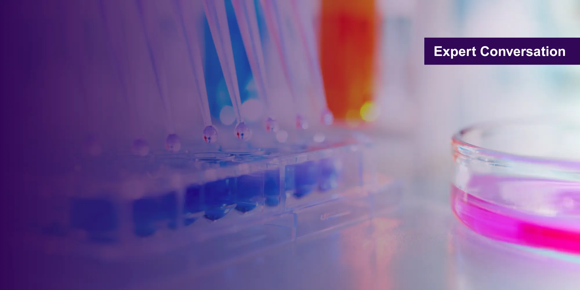 banner-expert-conversations