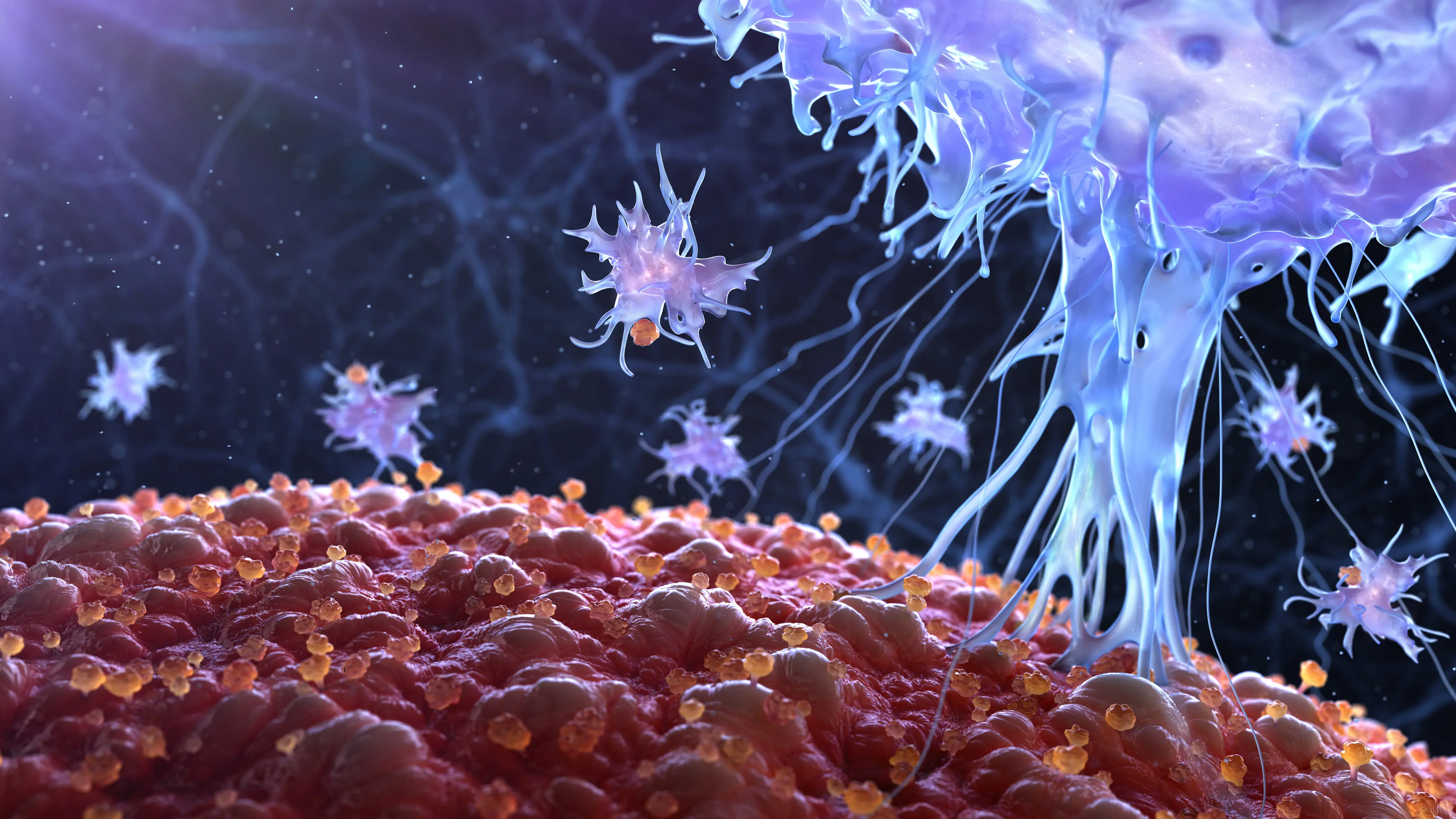 Systemic Immunology